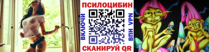 Псилоцибиновые грибы мицелий  Михайловск 